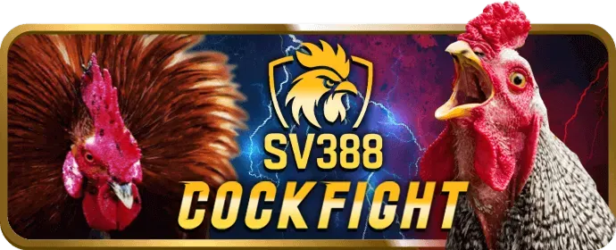 Sử dụng vũ khí hợp lý